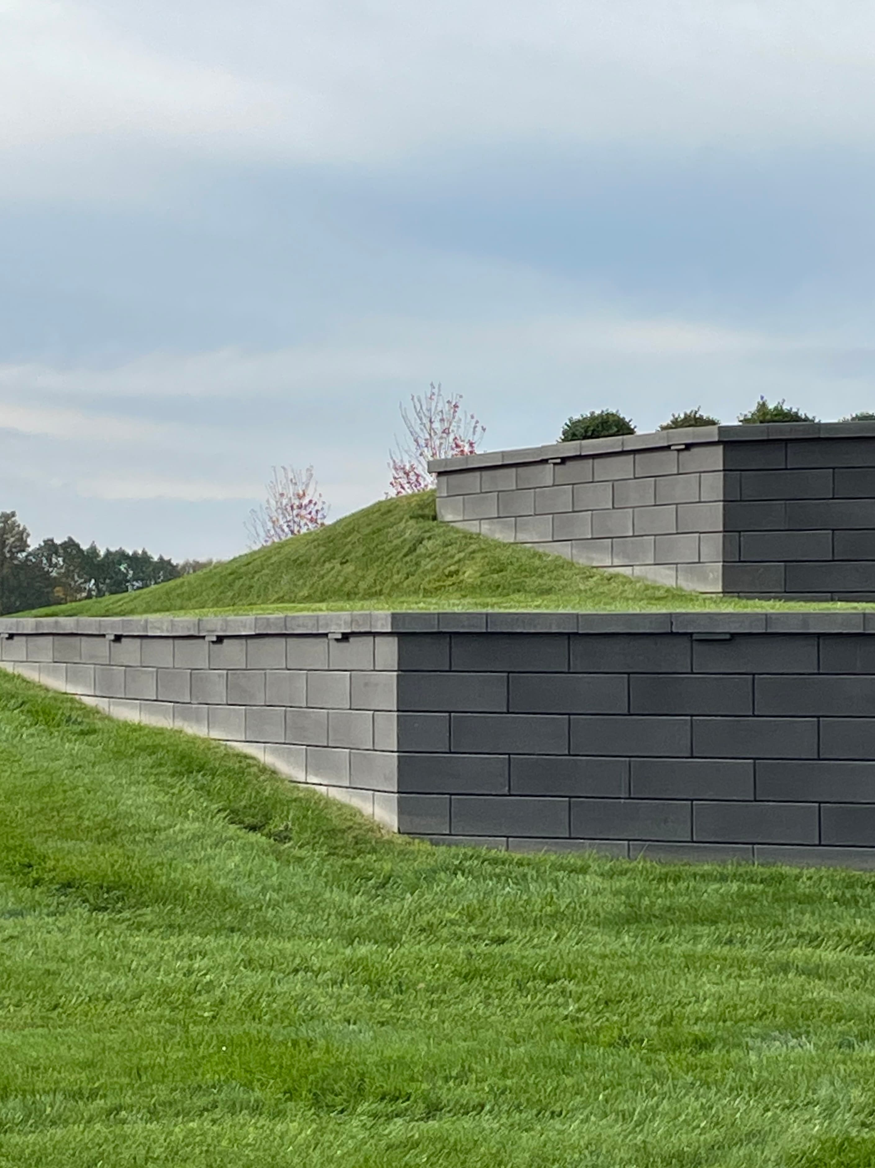Modern landscaping